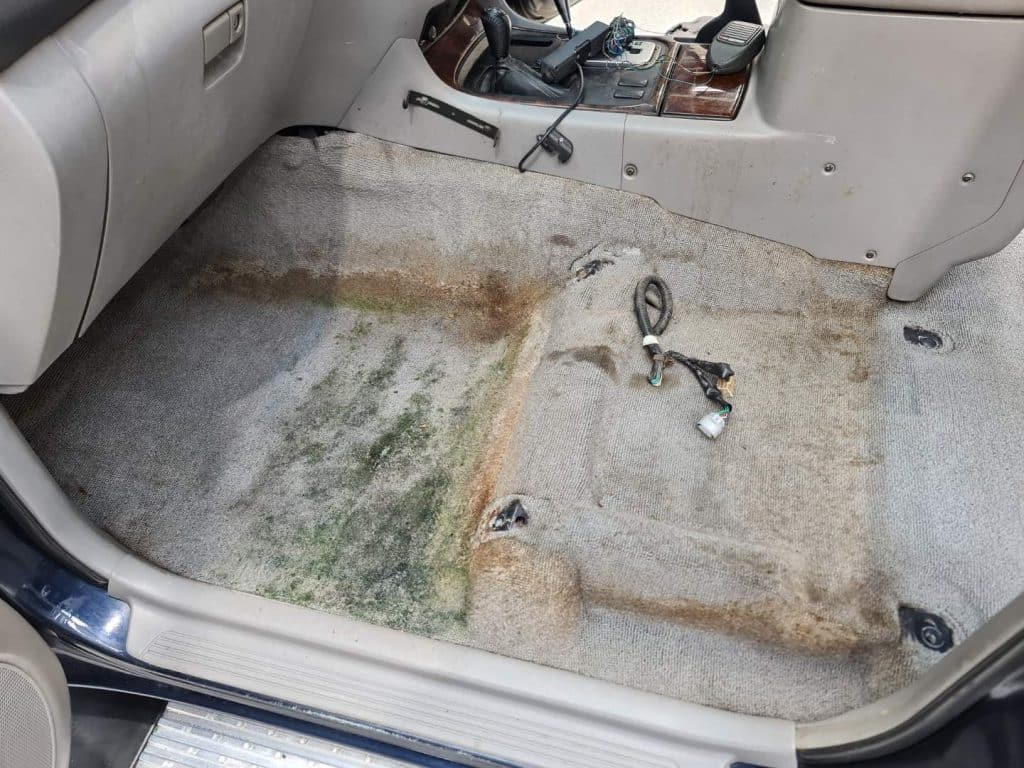 Detailing studio Car Mould Removal