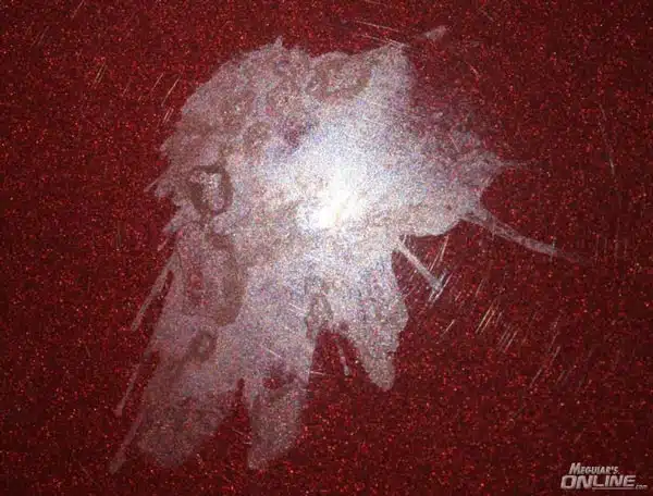 bird droppings on car paint