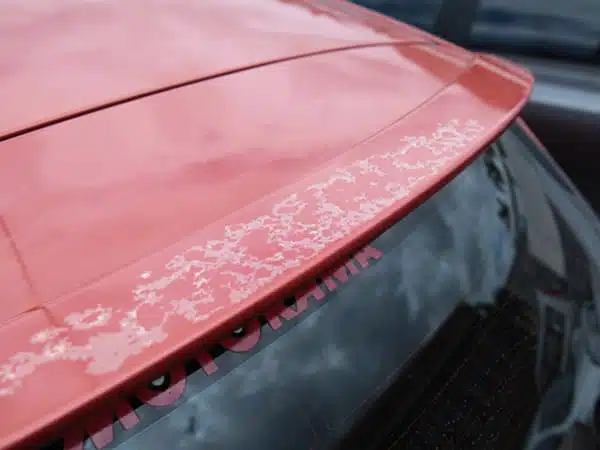 A close up of a car that needs a cut and polish