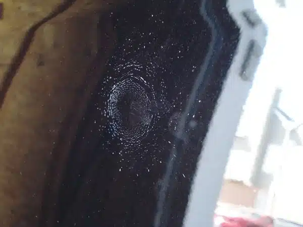 Egg damage on a vehicle