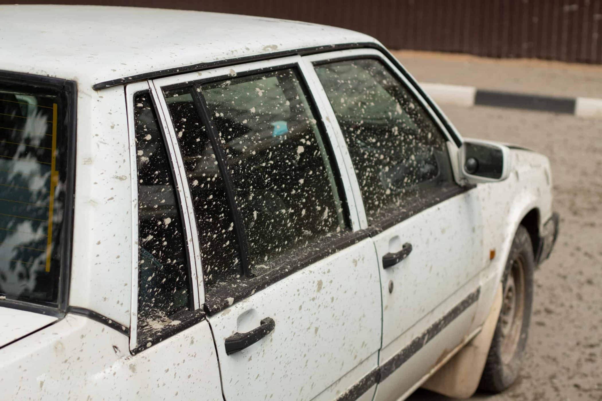 Concrete Splatter Removal Scrubs Car Detailing